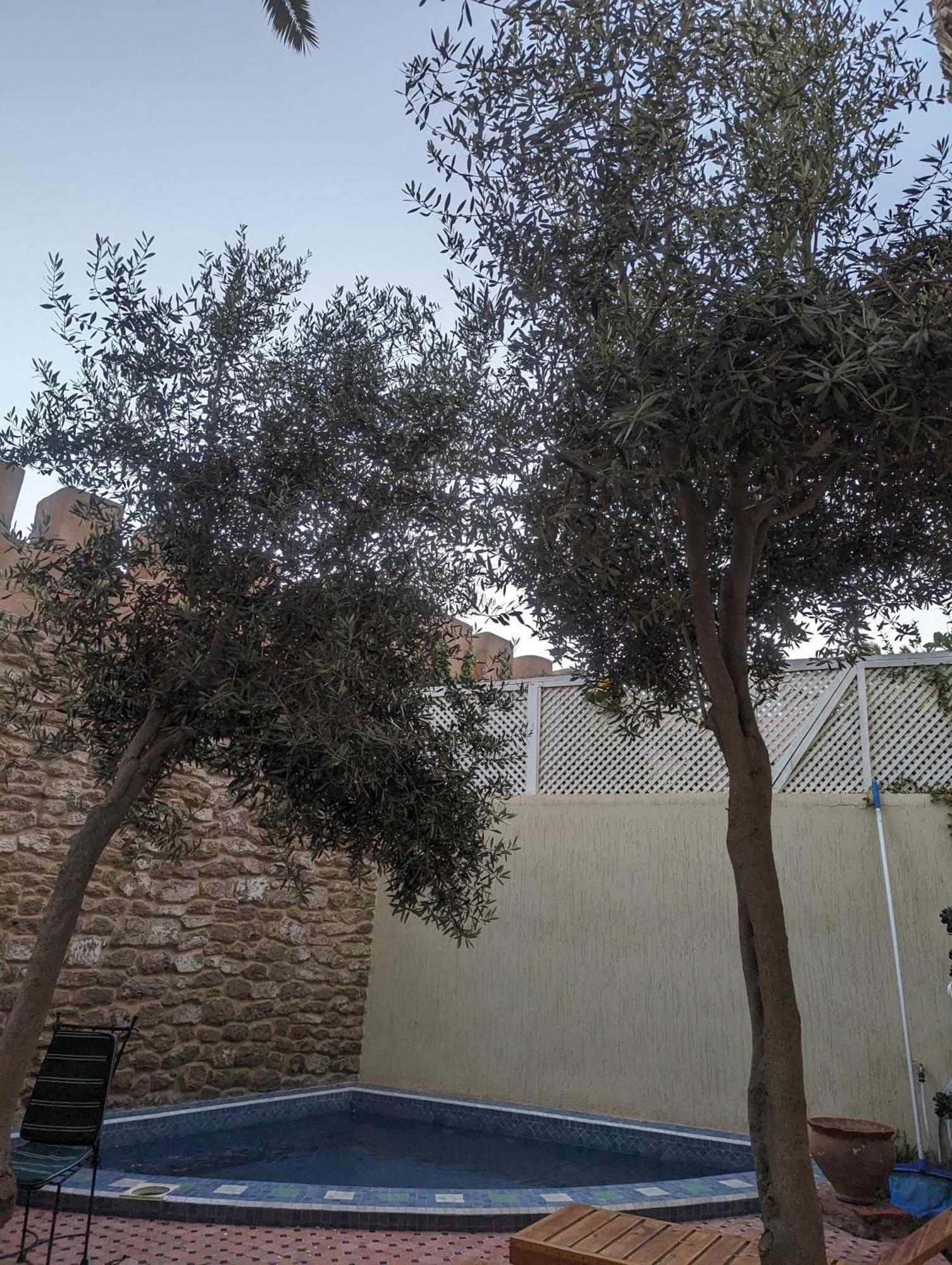 Aghata Palms Riad Эс-Сувейра Экстерьер фото
