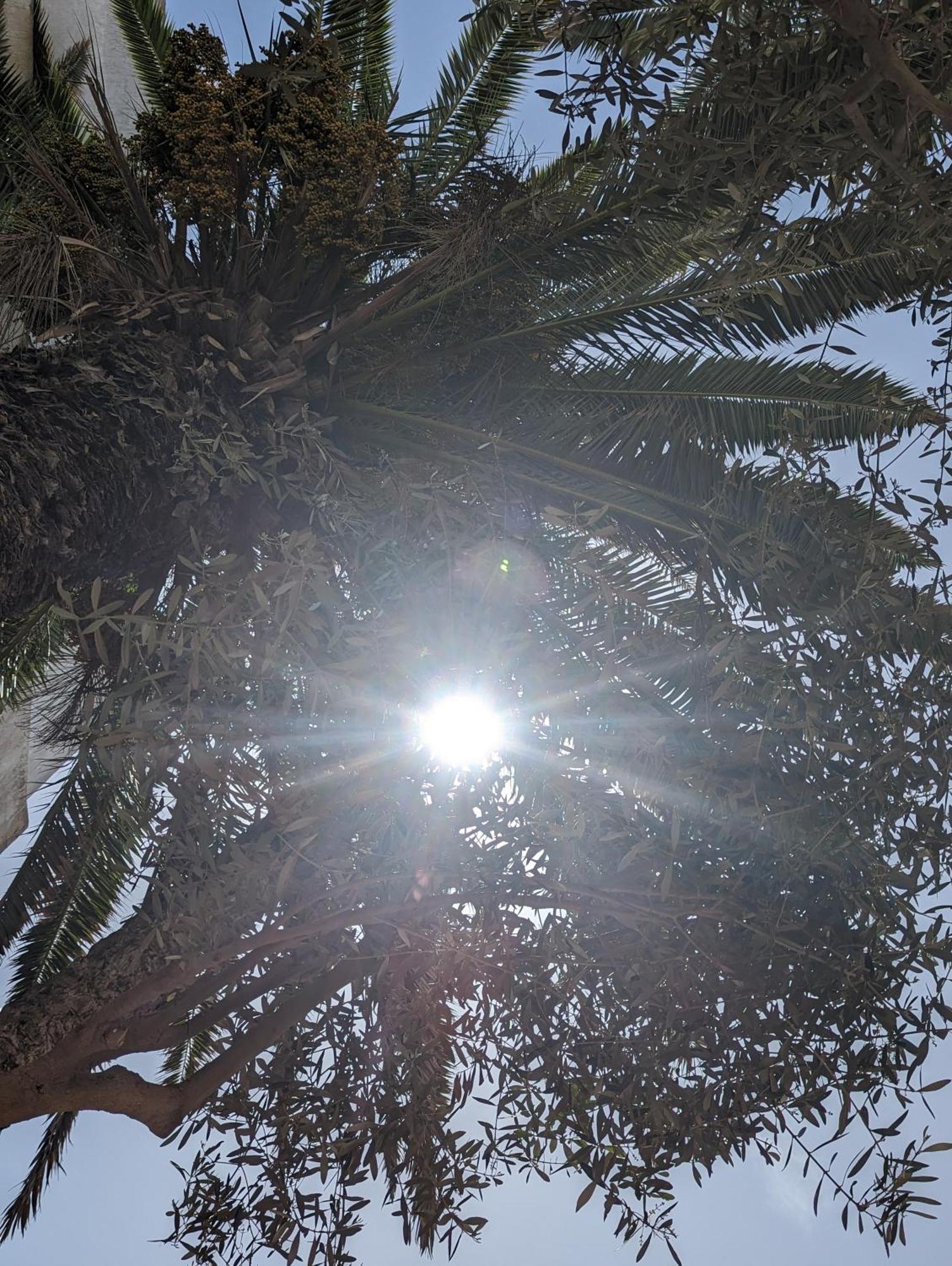 Aghata Palms Riad Эс-Сувейра Экстерьер фото